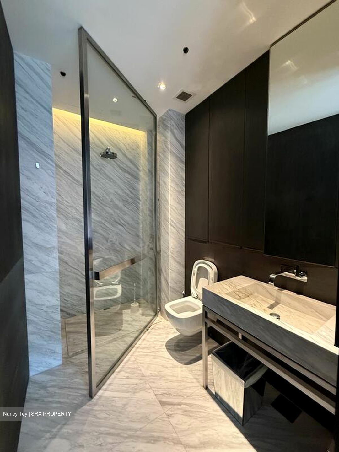 Nassim Park Residences (D10), Condominium #496928341